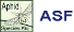 ASF