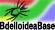 BdelloideaBase