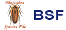 BSF