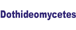 Dothideomycetes