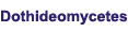 Dothideomycetes