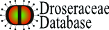 Droseraceae Database
