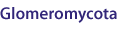 Glomeromycota