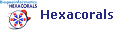 Hexacorals