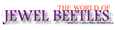 Jewel Beetles