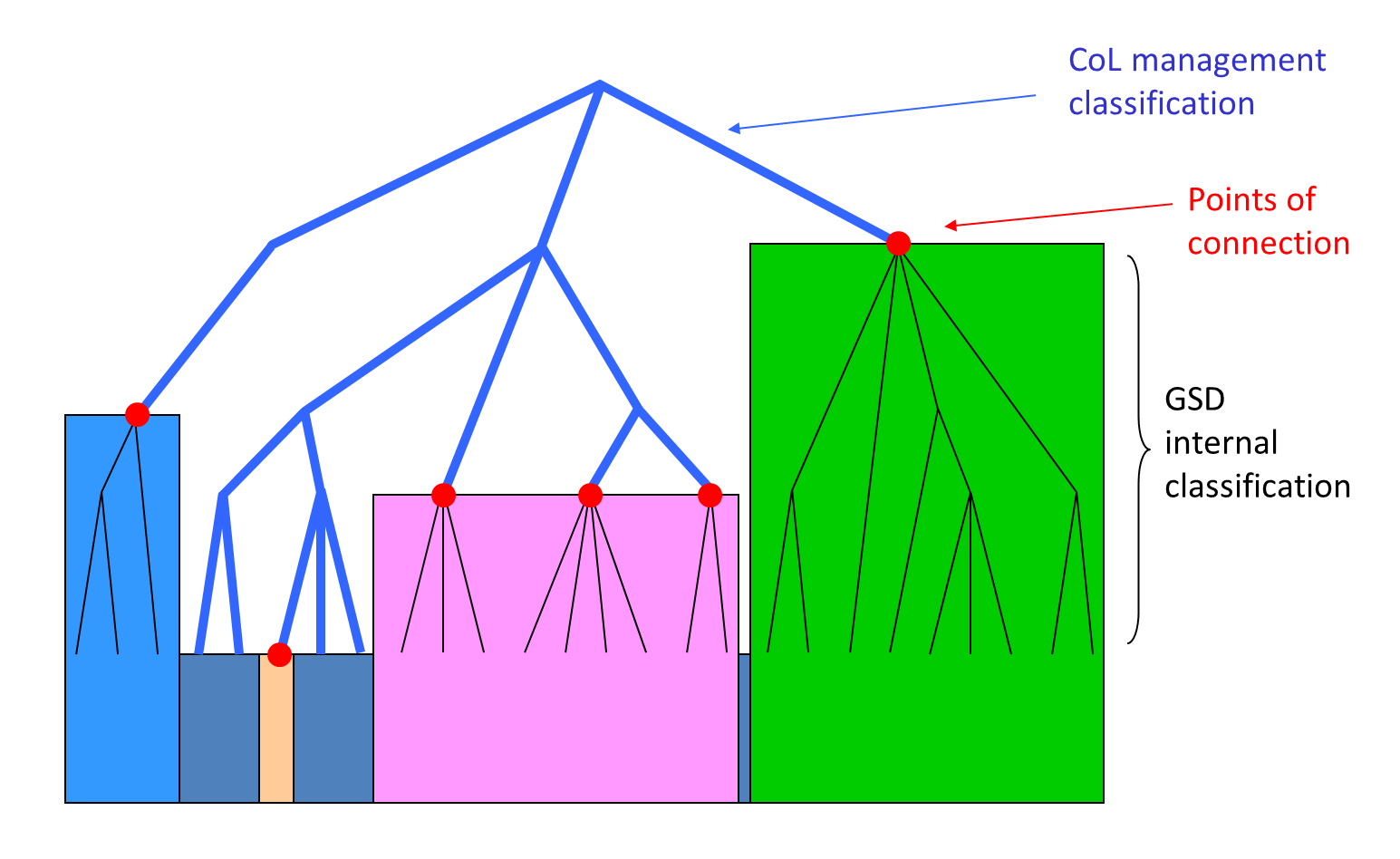 Management Classification