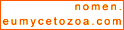 Nomen.eumycetozoa.com
