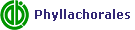 Phyllachorales