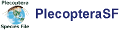 PlecopteraSF