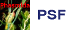 PSF