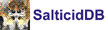SalticidDB