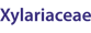 Xylariaceae