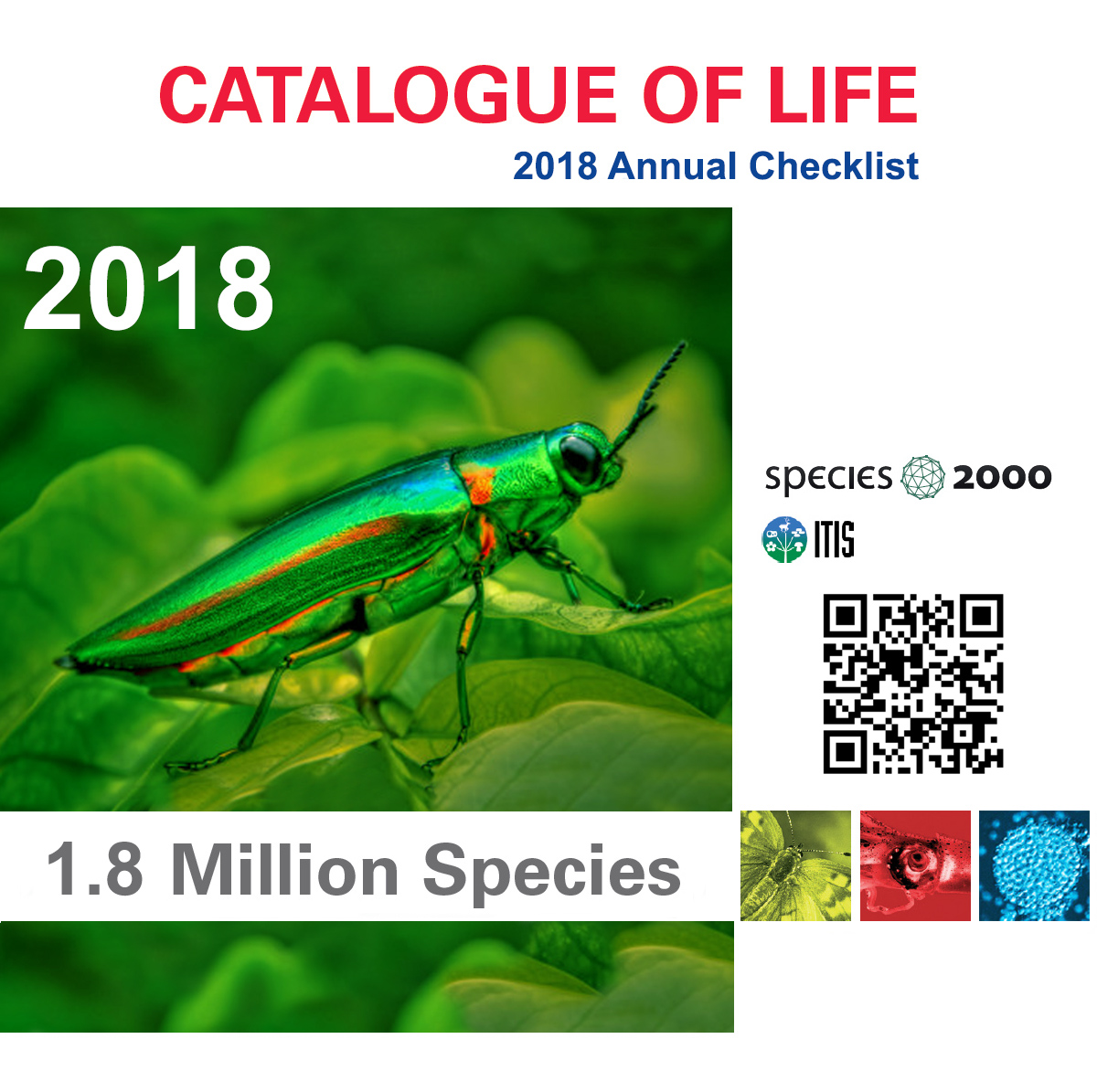 2012 Annual Checklist DVD front cover 2011 Annual Checklist DVD front cover