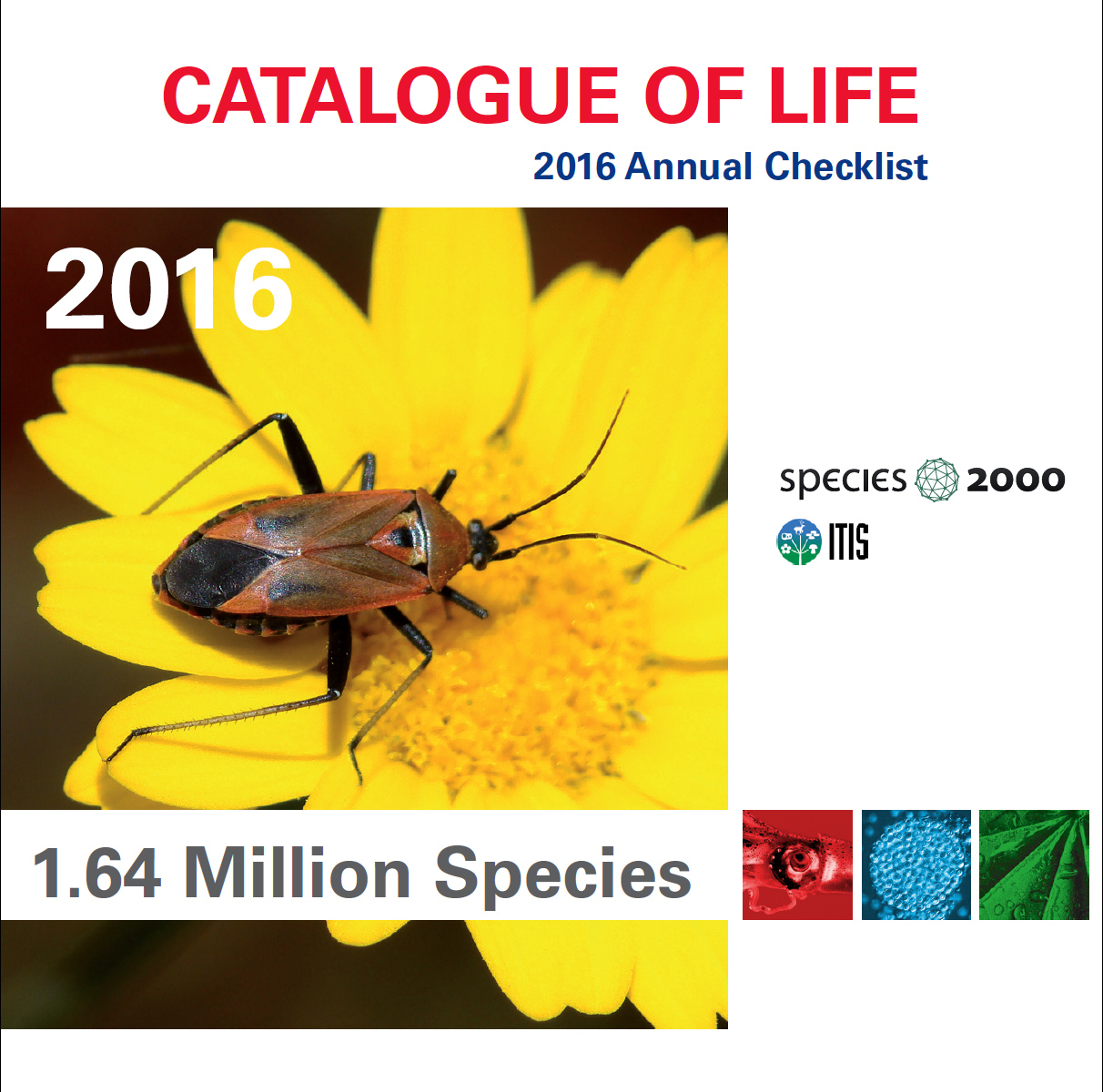 2011 Annual Checklist DVD front cover