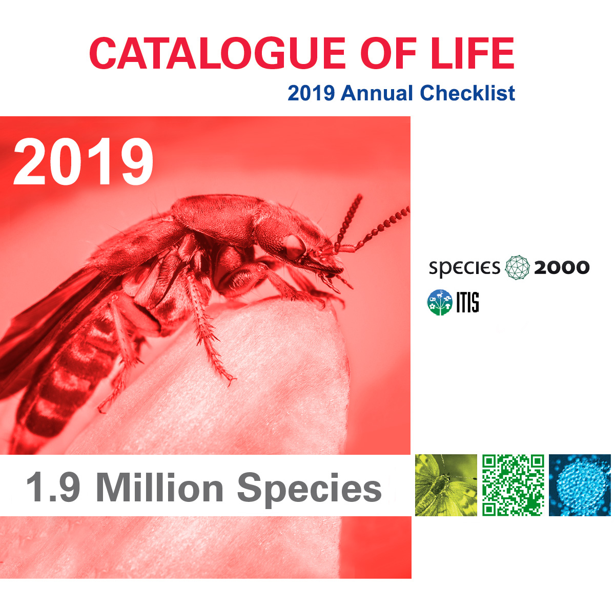 2011 Annual Checklist DVD front cover