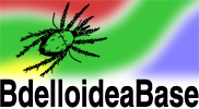 BdelloideaBase: BdelloideaBase: Bdellid & Cunaxid Databases