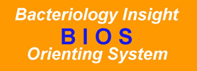 BIOS: BIOS: Bacteriology Insight Orienting System BIOS: BIOS: Bacteriology Insight Orienting System