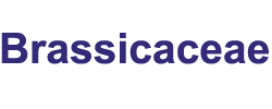 Brassicaceae: Brassicaceae species checklist and database Brassicaceae: Brassicaceae species checklist and database