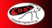 COOL: COOL: Cercopoidea Organised On Line COOL: COOL: Cercopoidea Organised On Line