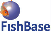 FishBase: FishBase