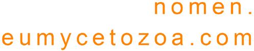 Nomen.eumycetozoa.com: Nomen.eumycetozoa.com Nomen.eumycetozoa.com: Nomen.eumycetozoa.com