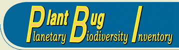 PBI Plant Bug: PBI Plant Bug: On-line Systematic Catalog of Plant Bugs (Insecta: Heteroptera: Miridae) PBI Plant Bug: PBI Plant Bug: On-line Systematic Catalog of Plant Bugs (Insecta: Heteroptera: Miridae)