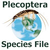 PlecopteraSF: PlecopteraSF: Plecoptera Species File PlecopteraSF: PlecopteraSF: Plecoptera Species File