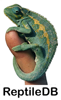 ReptileDB: The Reptile Database ReptileDB: The Reptile Database