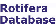 Rotifera: Rotifera Database Rotifera: Rotifera Database