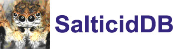 SalticidDB: Global Species Database of Salticidae (Araneae)