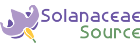 Solanaceae Source Solanaceae Source