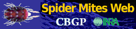 SpmWeb: SpmWeb: Spider Mites Web