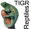 TIGR Reptiles: TIGR Reptile Database TIGR Reptiles: TIGR Reptile Database