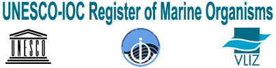 URMO: URMO: UNESCO-IOC Register of Marine Organisms URMO: URMO: UNESCO-IOC Register of Marine Organisms