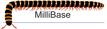 WoRMS MilliBase: WoRMS MilliBase: MilliBase